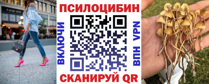 наркошоп  мега зеркало  Псилоцибиновые грибы мухоморы  Суровикино 